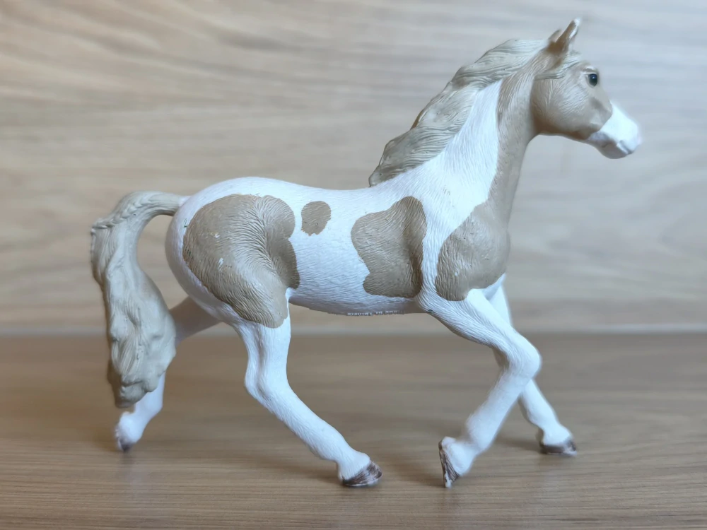 Hnědobílá paint klisna 13884, model 2018