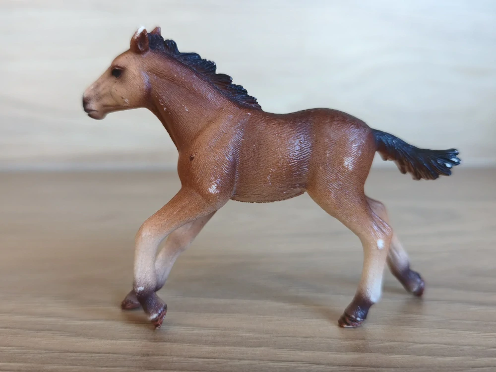 hříbě Mustanga 13807, model 2015