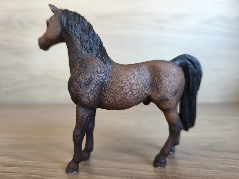 Arabský hřebec  13629, model 2007