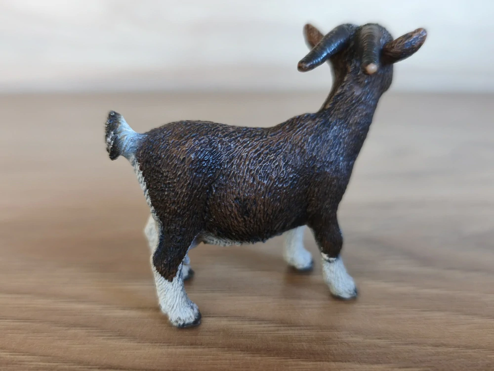koza trpasličí 13715, model 2011