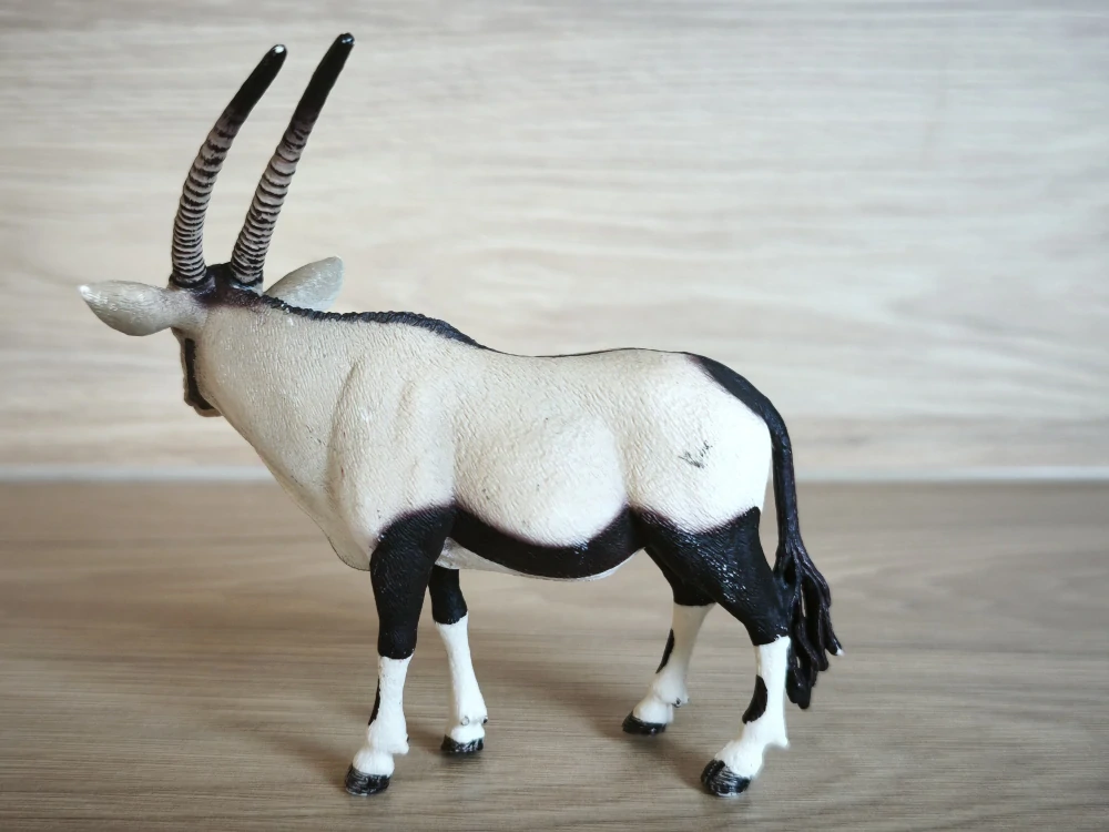 antilopa Oryx 14759, model 2015