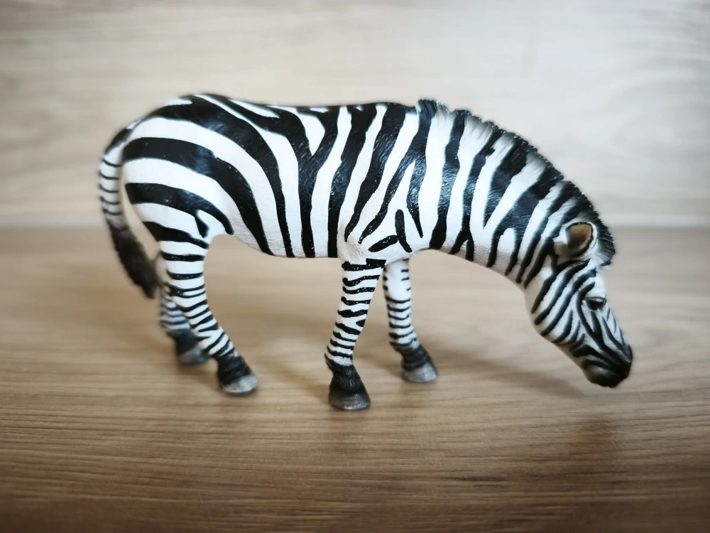 zebra krmící se 14609, model 2009
