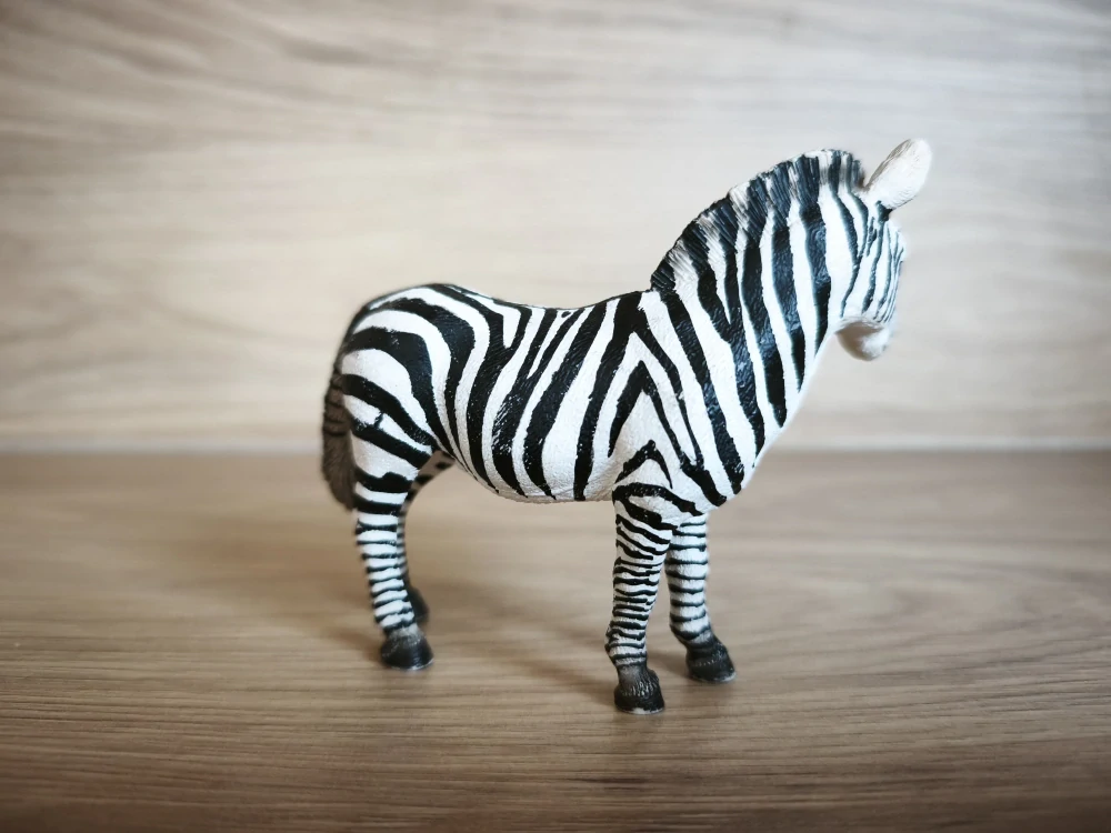 zebra 14392, model 2008