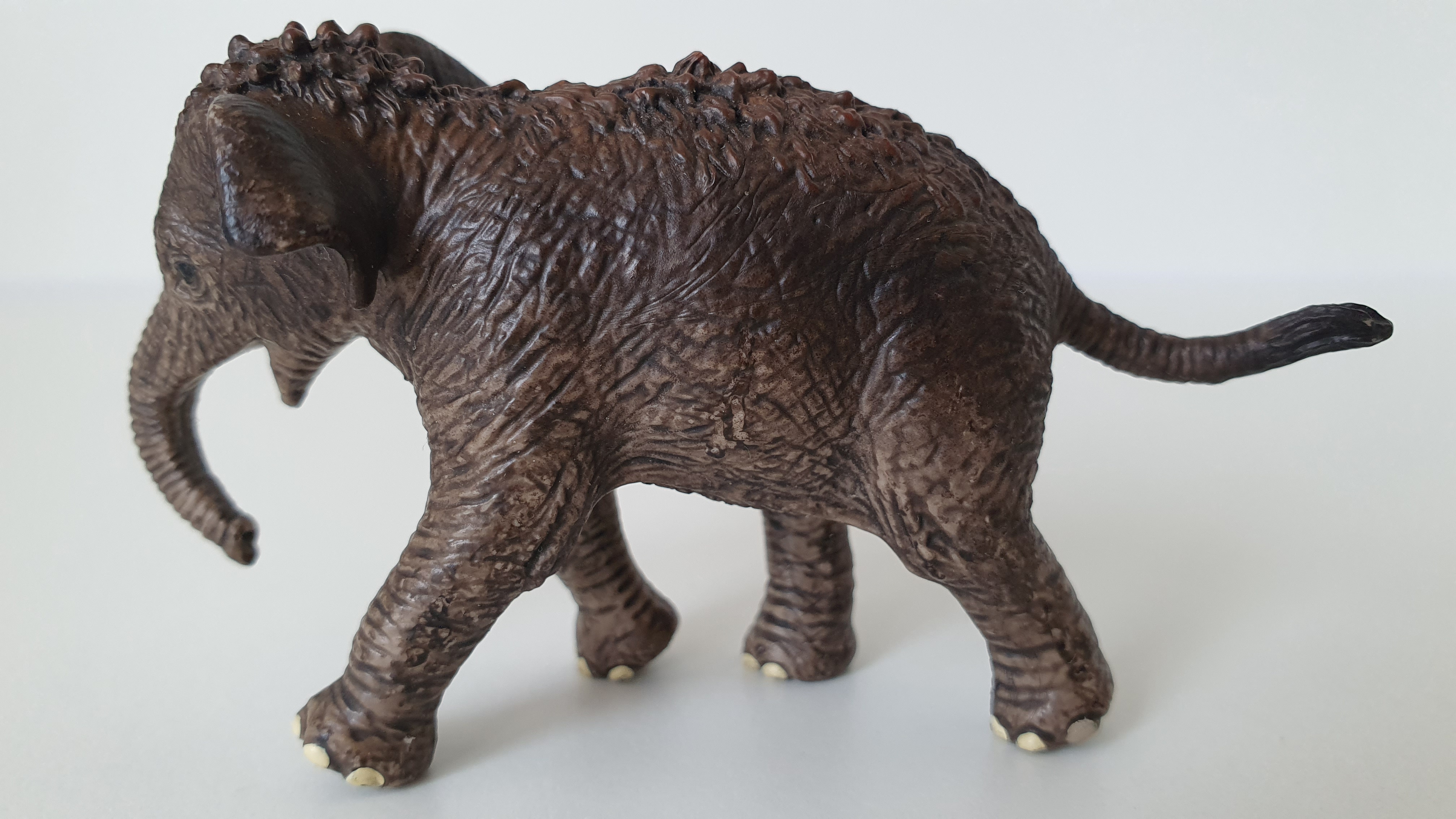 slůně mládě 14755, model 2015