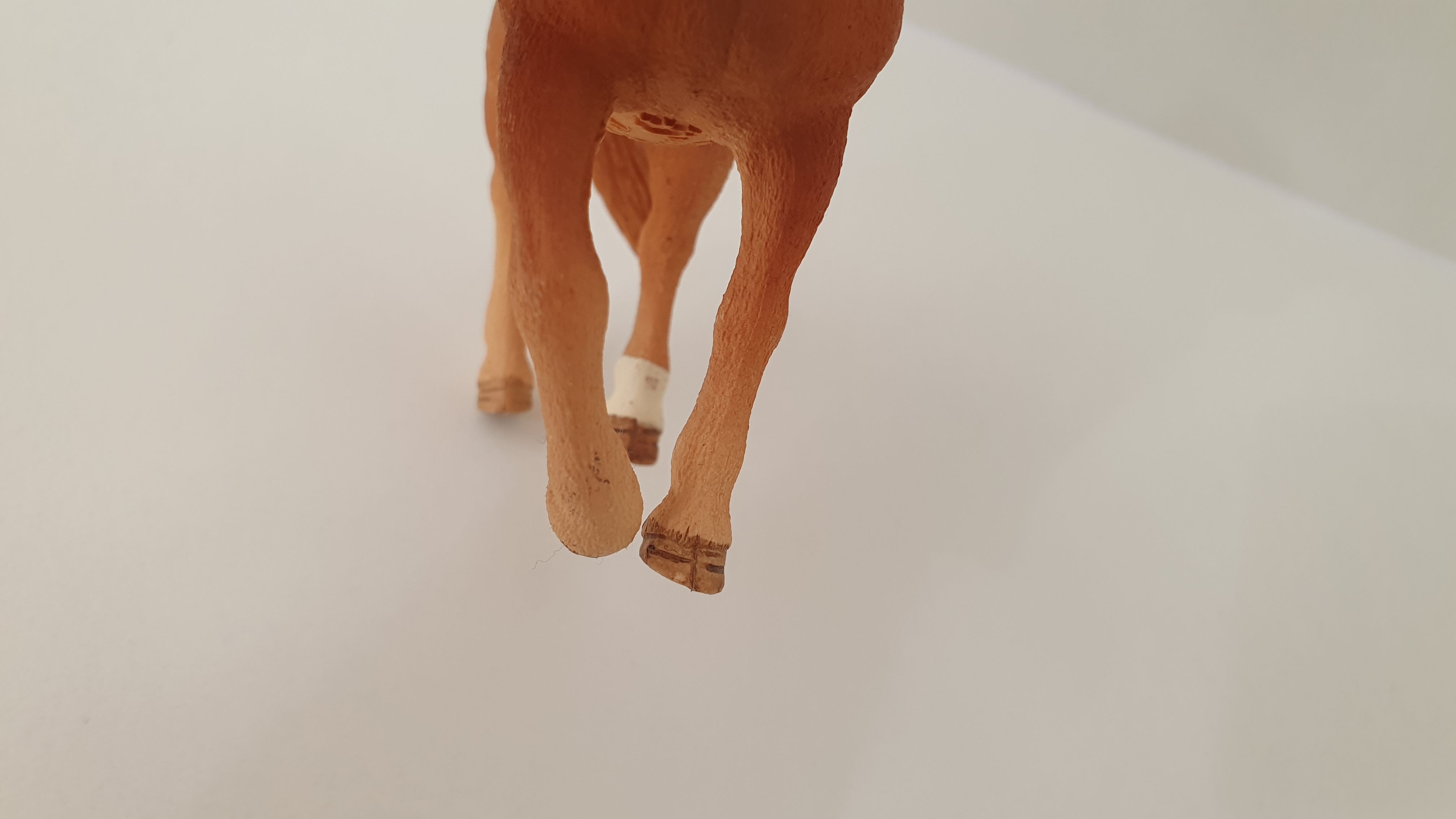 Quarter klisna 13852, model 2017