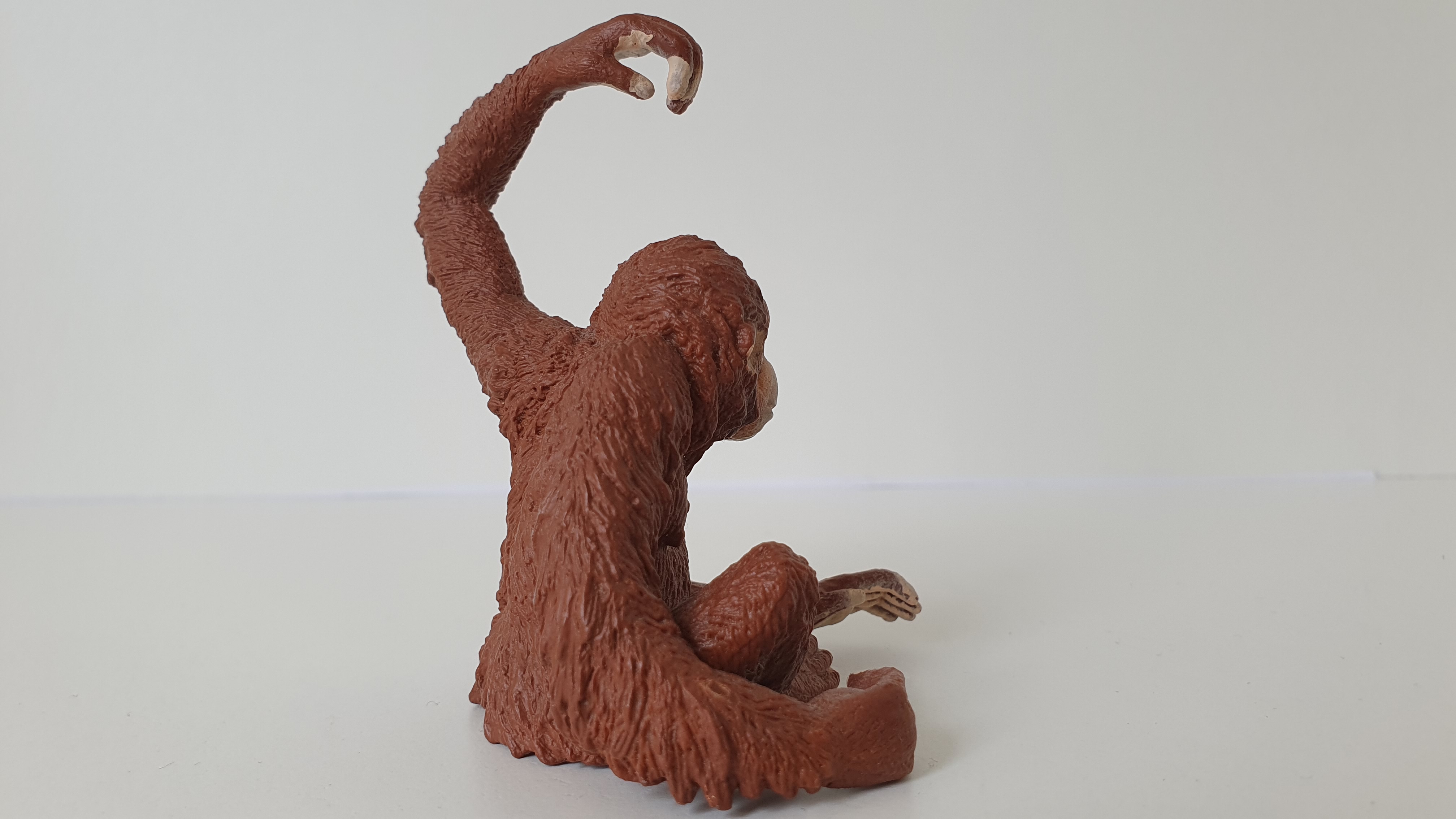 orangutan 14775, model 2016