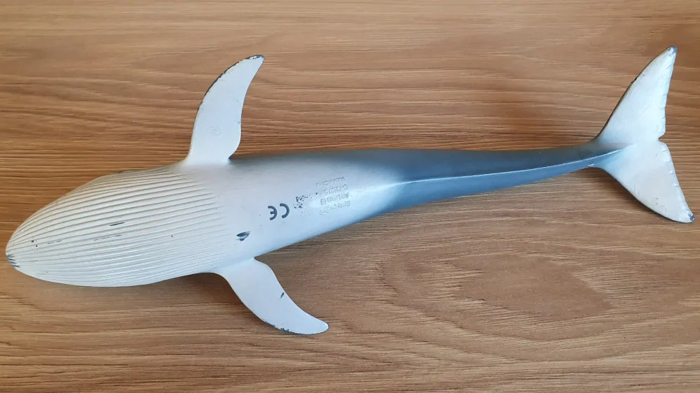 Modrá velryba 14696, model 2012
