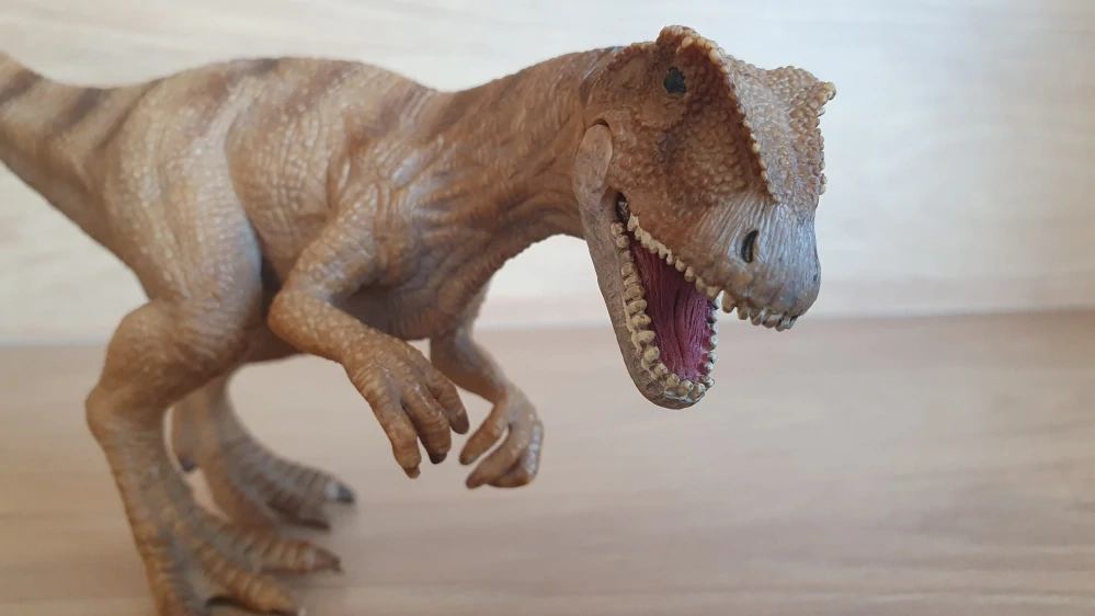 Allosaurus  14513, model 2011