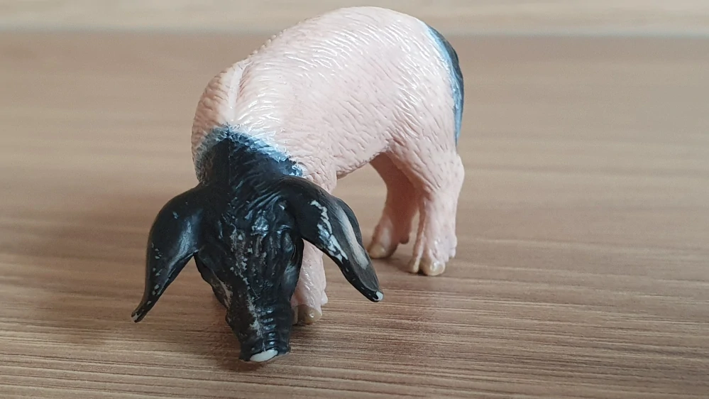 sele švábské  13635, model 2007