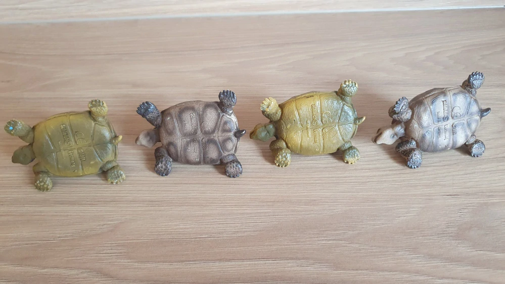 želva Německo 14081, model 1991