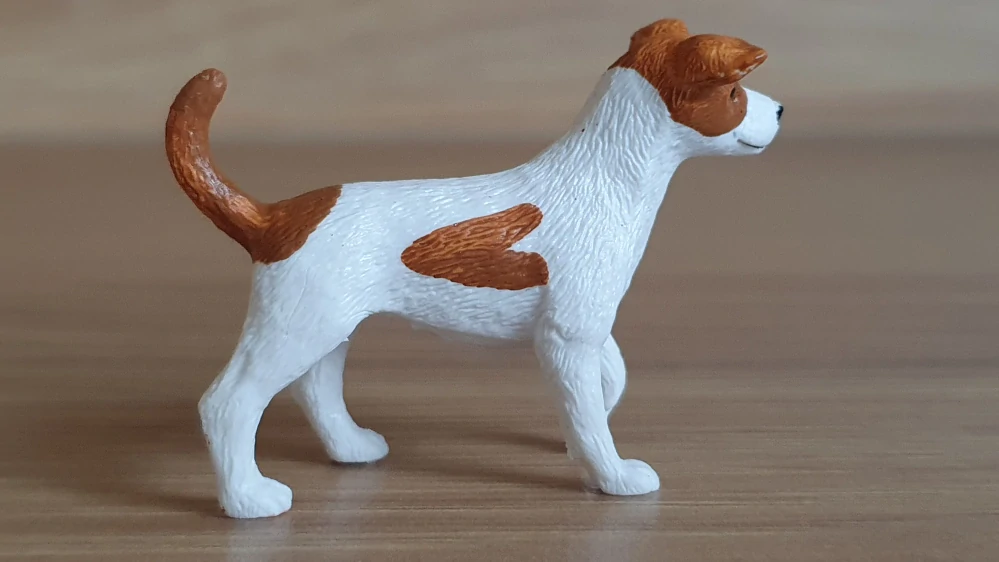 jack russel teriér 13916, model 2020