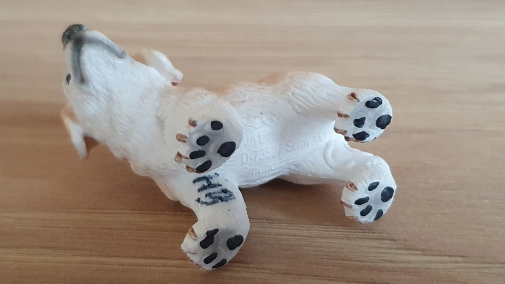 zlatý retrívr štěně 16378, model 2008
