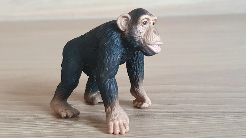 šimpanz  14189, model 2001