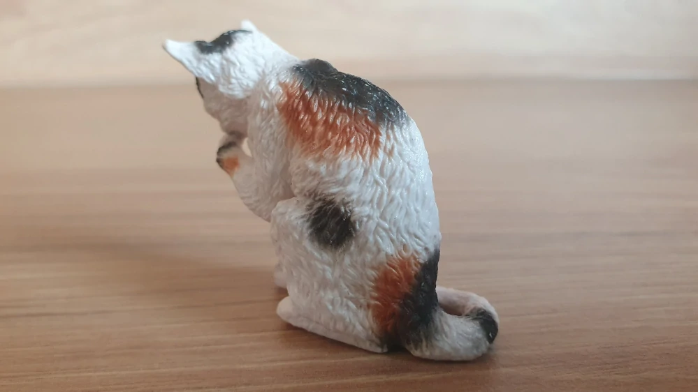 kočka flekatá, lízající packu  13675, model 2010