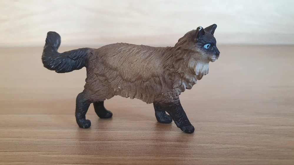 kočka Ragdoll 13940, model 2021