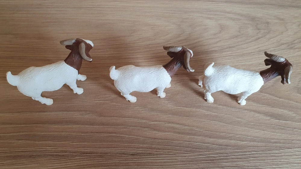 Koza burská  13259, model 2001