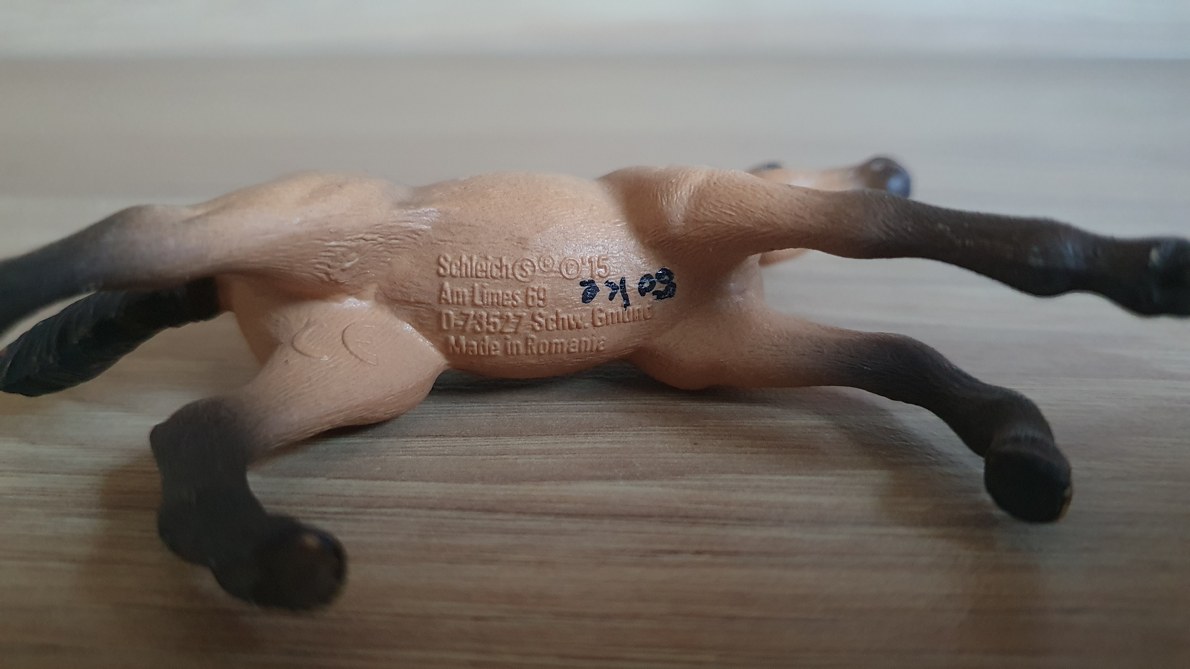 hříbě Mustanga 42195, model 2015