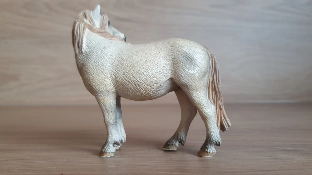 Camargue klisna 13609, model 2005