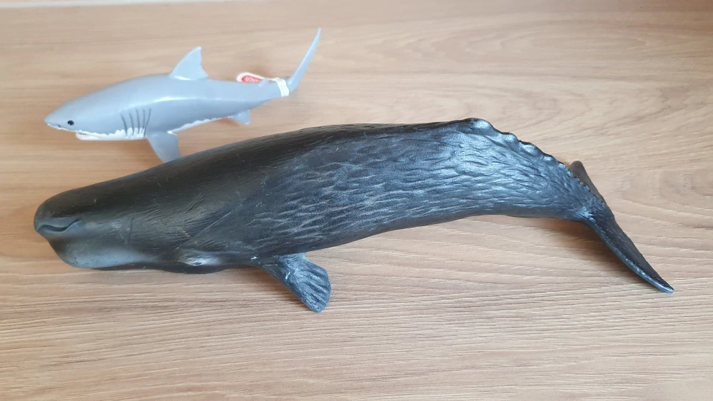 vorvaň  16084 30cm , model 2000