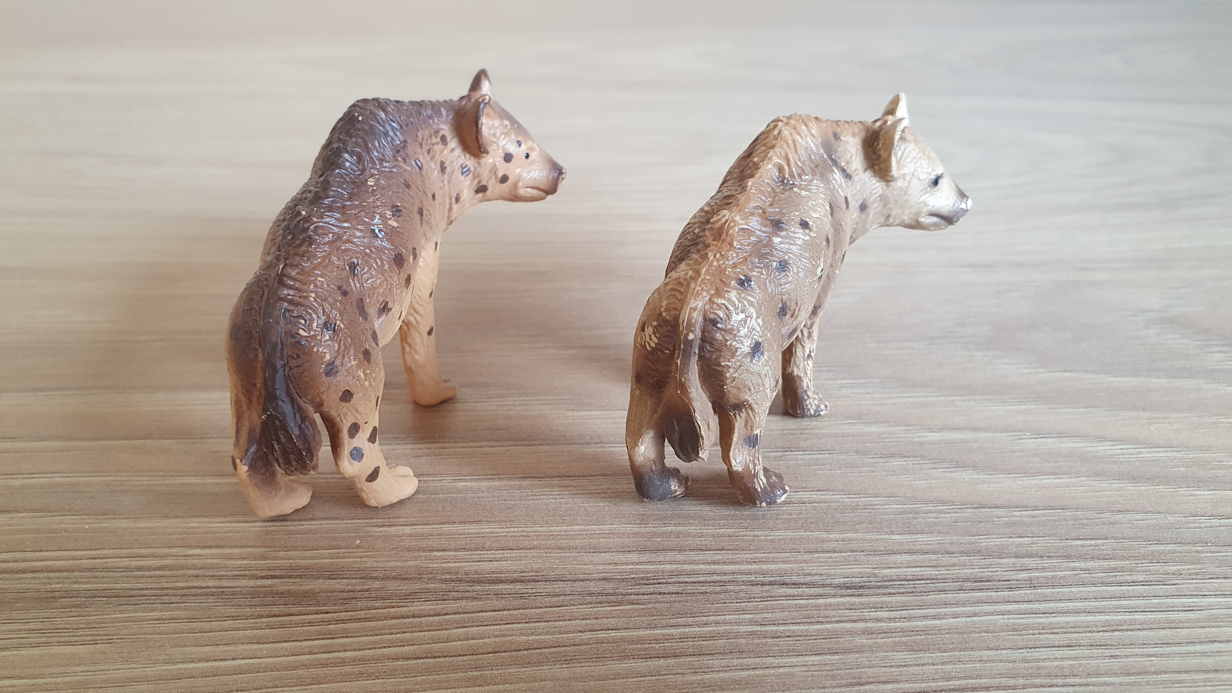 hyena