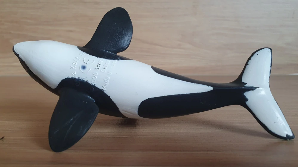 kosatka mládě 16091, model 2005