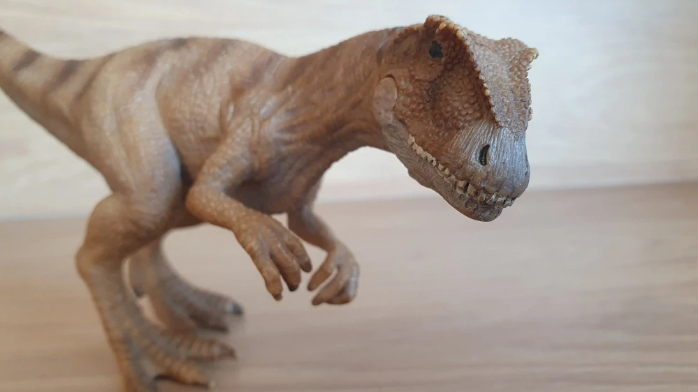 Allosaurus  14513, model 2011
