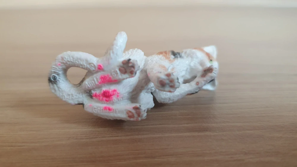 kočka flekatá, lízající packu  13675, model 2010