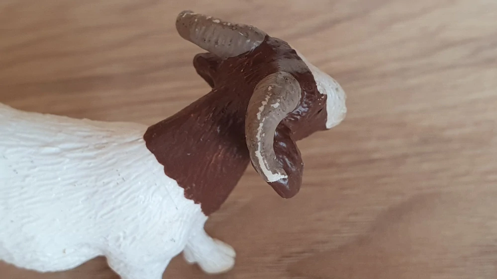 Koza burská  13259, model 2001