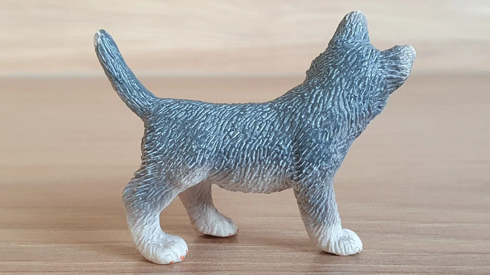 husky štěně 16373, model 2007