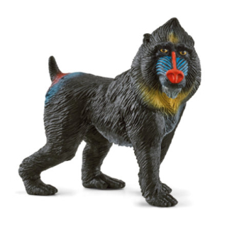Mandrill 14856, nové