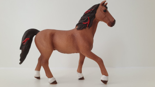 Quarter od Hannah 42411, model 2017