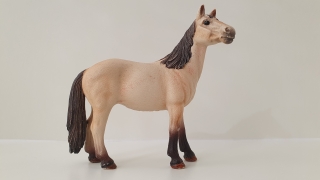 Klisna Mustanga 13806, model 2015