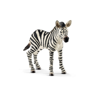 zebra mládě 14811, model 2017, nové