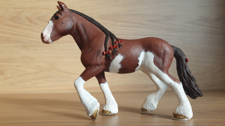 Clydesdale klisna 13809, model 2015