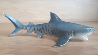 žralok tygří  14765, model 2015