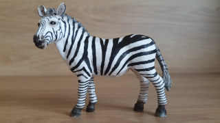 zebra 14392, model 2008