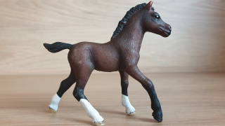 Arabské hříbě 13762, model 2013