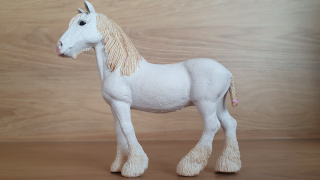 Klisna shirská 13735, model 2012