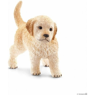 zlatý retrívr štěně 17061, model 2013, nové