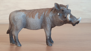 prase bradavičnaté 14611, model 2009