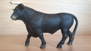 Černý býk 13875, model 2017