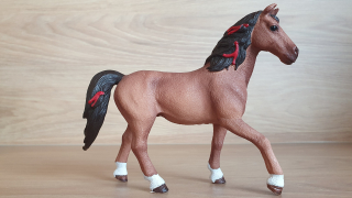 Quarter od Hannah 42411, model 2017