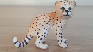 gepard mládě 14747, model 2015