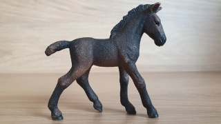 Lipicánské hříbě 13820, model 2016