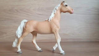 Americká jezdecká klisna 13912, model 2019