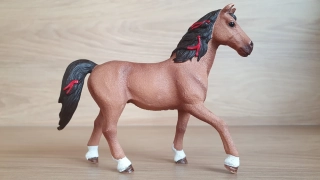 Quarter od Hannah 42411, model 2017
