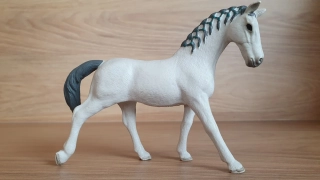 Trakehner klisna 98269, model 2018