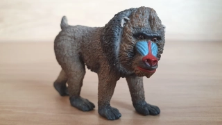 Mandrill 14715, model 2013