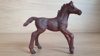 Anglický plnokrevník hříbě 13857, model 2016