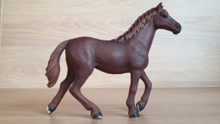 Anglický plnokrevník klisna 13855, model 2016